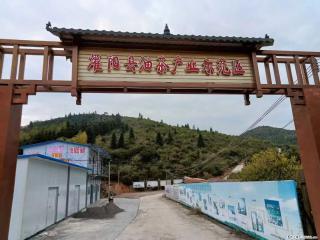 【灌阳县油茶产业示范区】一个有着充实的精神生活的人,对待身外之物自会有一种淡泊的态度 - 荷泽28生活网 heze.28life.com