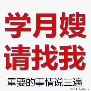 【招聘】月嫂，上海徐汇区 - 荷泽28生活网 heze.28life.com