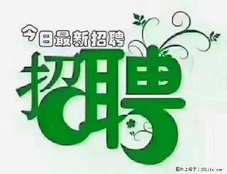 上海隔离酒店招人:55岁以下 男女不限 - 荷泽28生活网 heze.28life.com