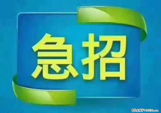 招财务，有会计证的，熟手会计1.1万底薪，上海五险一金，包住，包工作餐，做六休一 - 荷泽28生活网 heze.28life.com