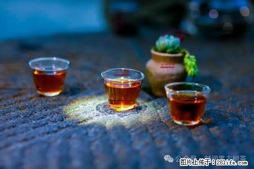 时间果百年古树2025年春红茶 - 购物交流 - 荷泽生活社区 - 荷泽28生活网 heze.28life.com