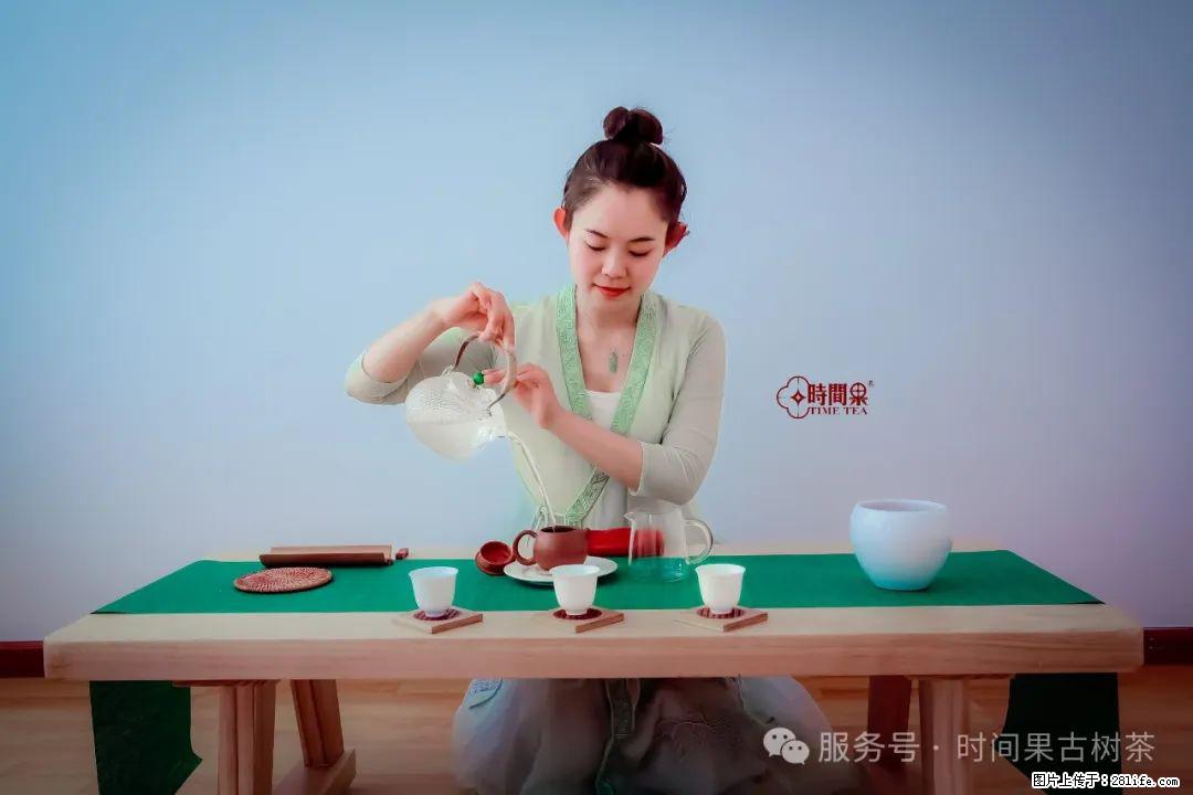 时间果百年古树龙珠普洱生茶 - 购物交流 - 荷泽生活社区 - 荷泽28生活网 heze.28life.com