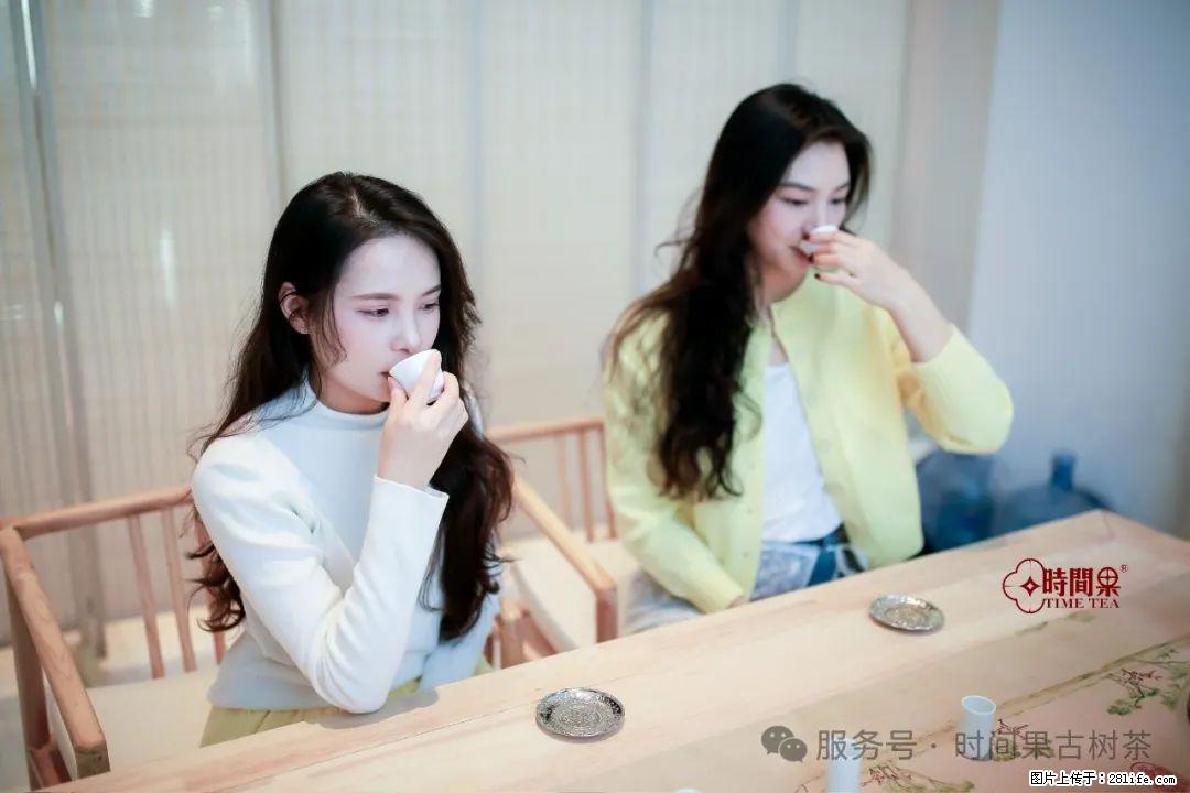 时间果百年古树龙珠普洱生茶 - 购物交流 - 荷泽生活社区 - 荷泽28生活网 heze.28life.com