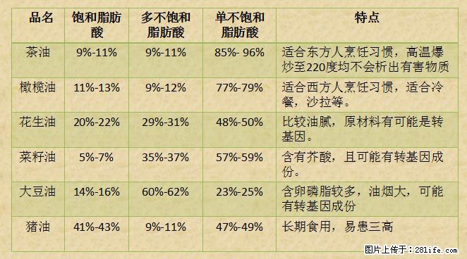 揭秘茶油的5大核心营养成分!被称为人体健康的“守护盾”! - 荷泽生活资讯 - 荷泽28生活网 heze.28life.com