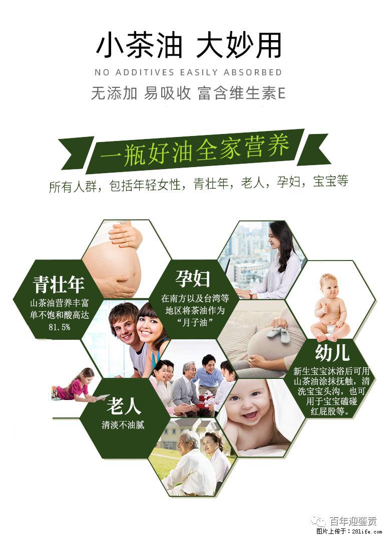 世界没有真相,只有认知,最好的食用油是中国的山茶油! - 荷泽生活资讯 - 荷泽28生活网 heze.28life.com