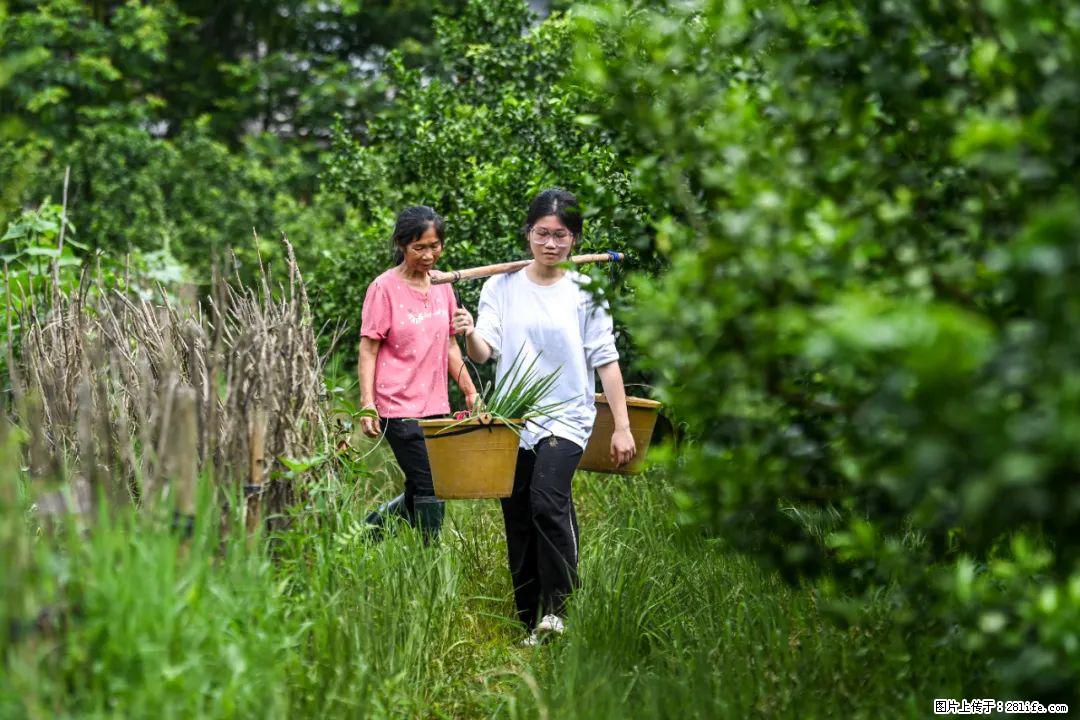 全网追的“扁担女孩”，找了一份暑假工，时薪12元 - 荷泽生活资讯 - 荷泽28生活网 heze.28life.com