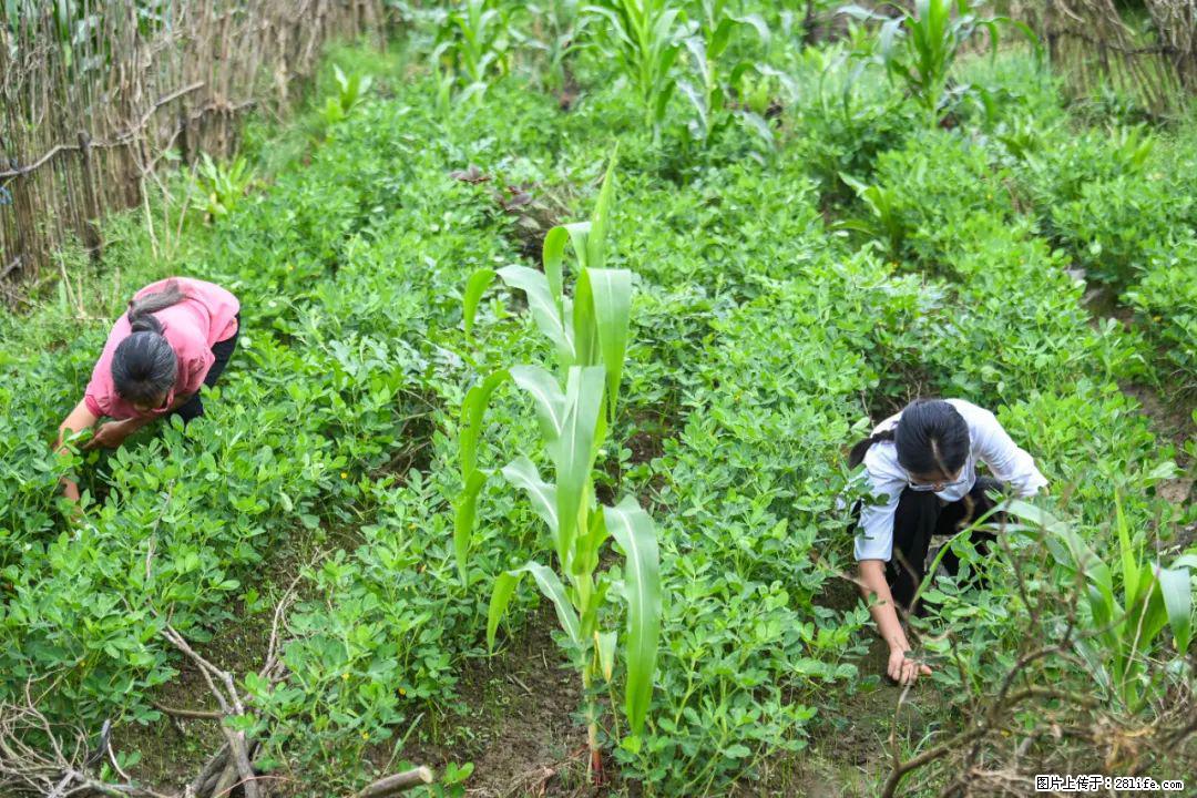 全网追的“扁担女孩”，找了一份暑假工，时薪12元 - 荷泽生活资讯 - 荷泽28生活网 heze.28life.com