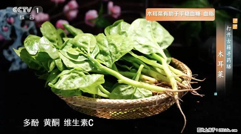 比牛奶补钙还厉害!凉血解毒、稳血糖...这菜冬天必吃,很多人却当草 - 荷泽生活资讯 - 荷泽28生活网 heze.28life.com