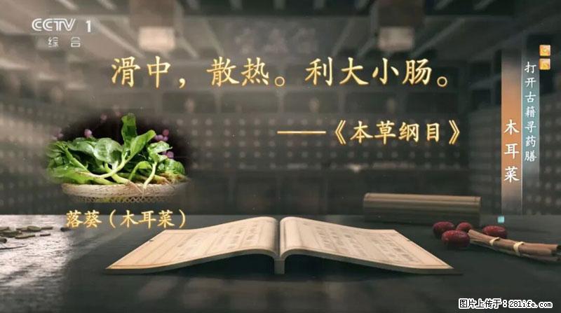 比牛奶补钙还厉害!凉血解毒、稳血糖...这菜冬天必吃,很多人却当草 - 荷泽生活资讯 - 荷泽28生活网 heze.28life.com