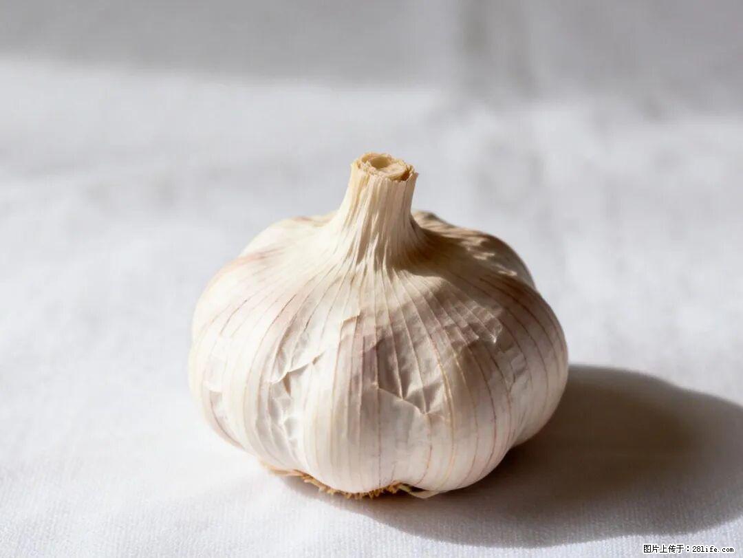 关于大蒜，除了“天然抗生素”，这4个谣言更该警惕! - 荷泽生活资讯 - 荷泽28生活网 heze.28life.com