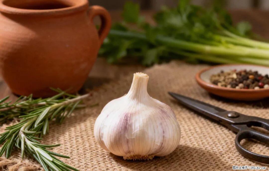 关于大蒜，除了“天然抗生素”，这4个谣言更该警惕! - 荷泽生活资讯 - 荷泽28生活网 heze.28life.com