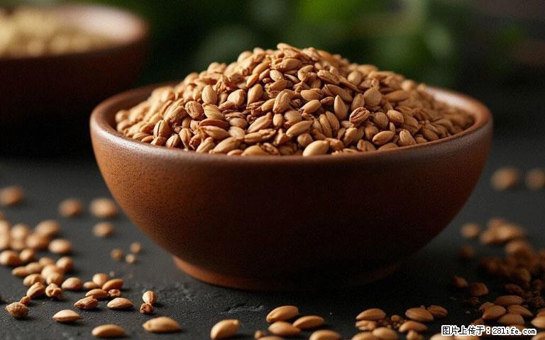 这三苦是三高“克星”,心血管干净不易堵!每天吃一点,指标慢慢降下来~ - 荷泽生活资讯 - 荷泽28生活网 heze.28life.com