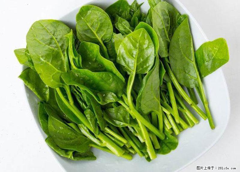 这些蔬菜是“天然钙片”,这6种被医生重点推荐 - 荷泽生活资讯 - 荷泽28生活网 heze.28life.com