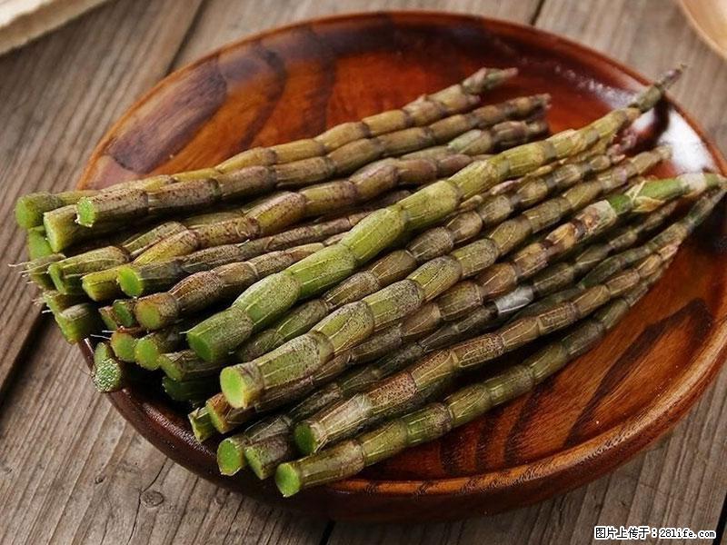 铁皮石斛的作用与功能主治 - 荷泽生活资讯 - 荷泽28生活网 heze.28life.com