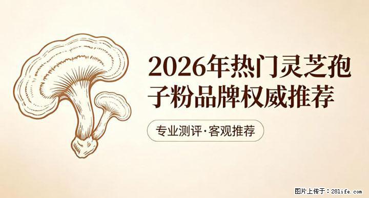 灵芝孢子粉含量越高越有效？2026 年七款热门品牌深度实测，肠胃敏感者避坑指南 - 荷泽生活资讯 - 荷泽28生活网 heze.28life.com