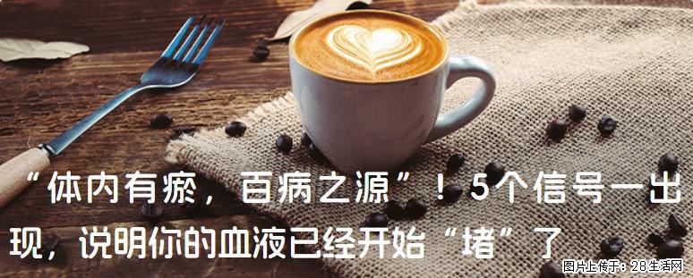“体内有瘀，百病之源”！5个信号一出现，说明你的血液已经开始“堵”了 - 荷泽生活资讯 - 荷泽28生活网 heze.28life.com